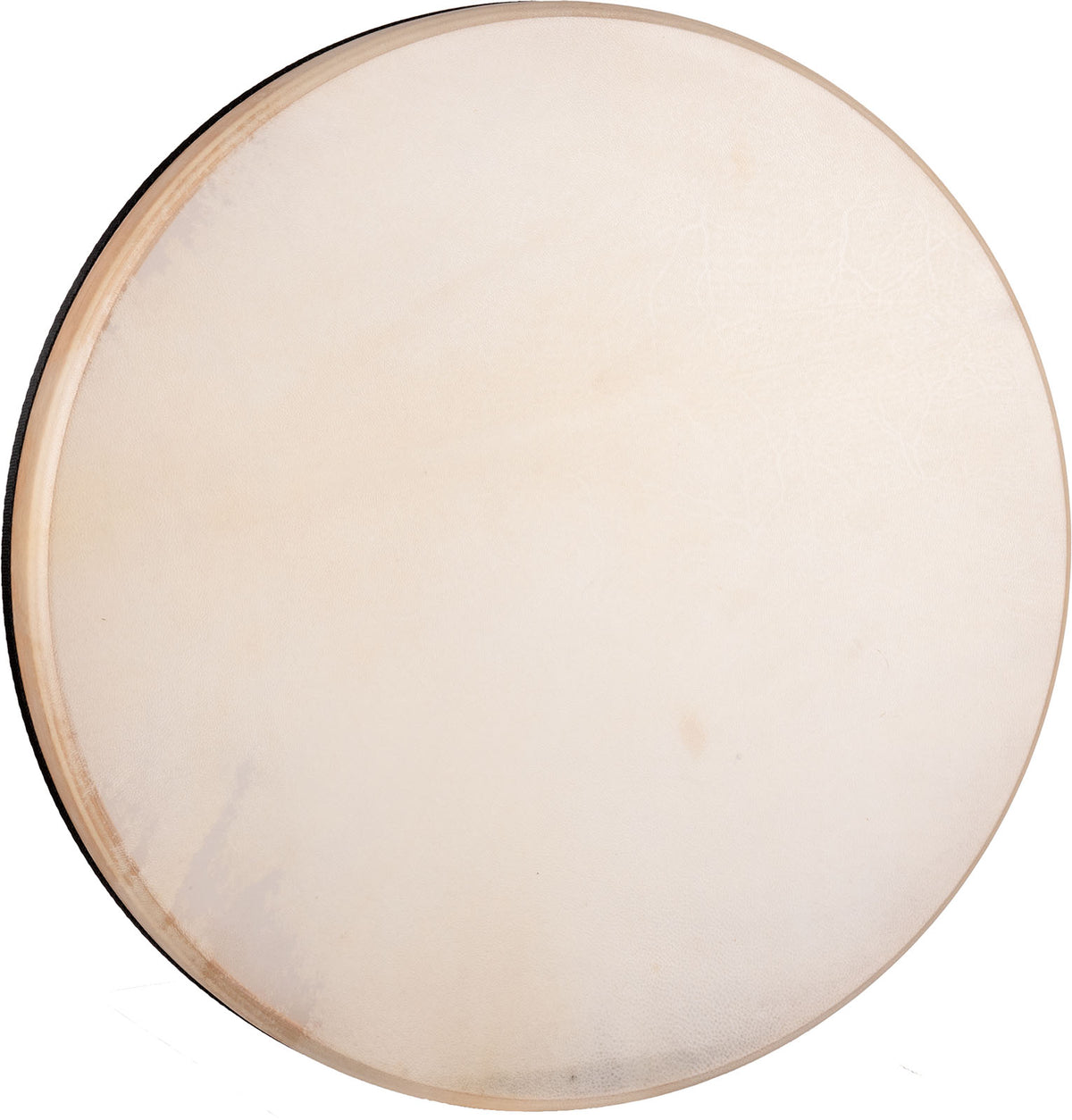 Percussion Coast Drum diamètre 50 cm non accordable