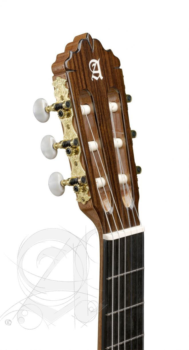 Conservatoire 5P + 9738 25mm Hoes - Gereconditioneerd