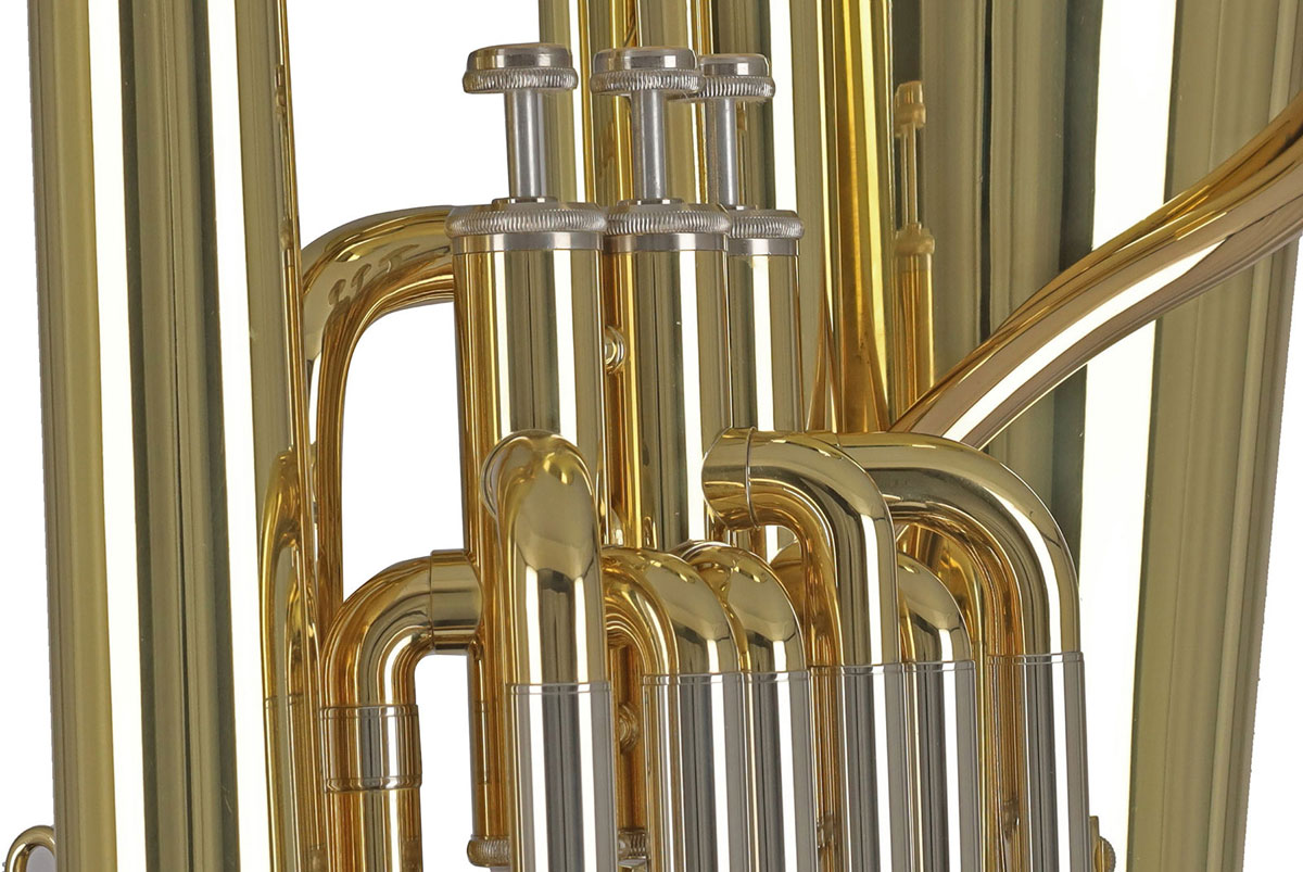 Ambition BB650 Contrebasse Sib Verni