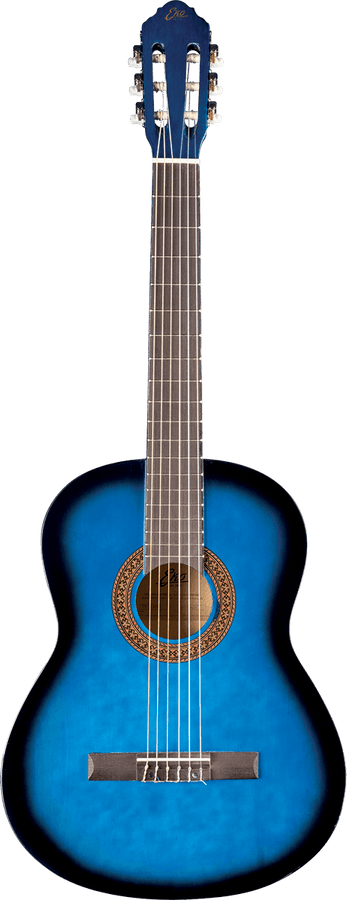 CS-10 4/4 Blue Burst + Housse