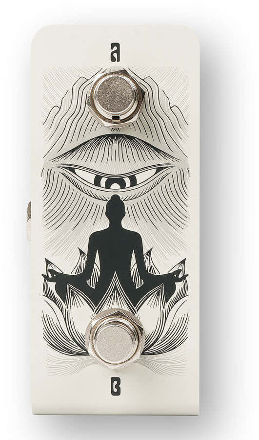 Anima Dual Footswitch
