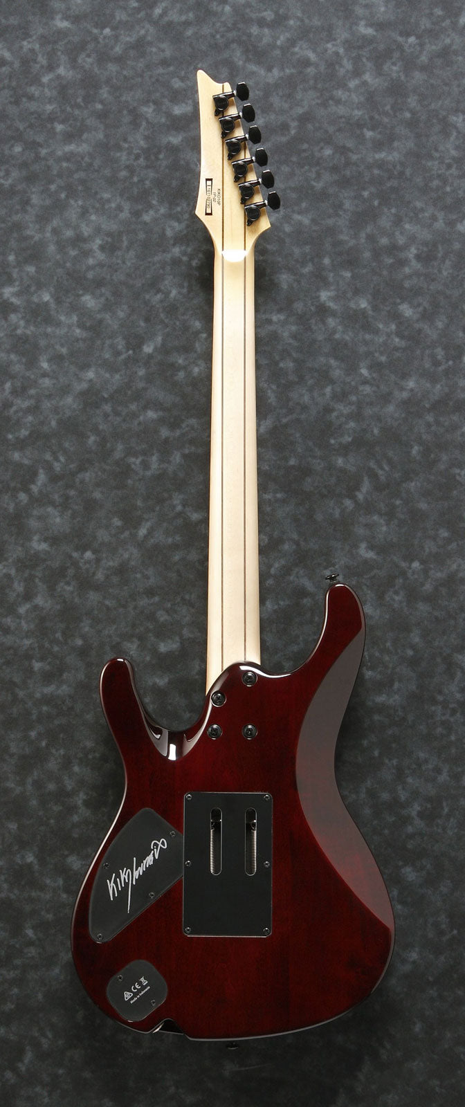 KIKO10BP-TGB Transparant grijs Burst Signature Kiko Loureiro Premium