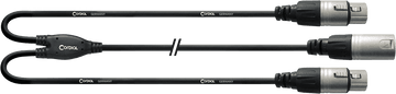 Câble Y Bretelle XRL Mâle / 2 XLR Femelles 30 CM