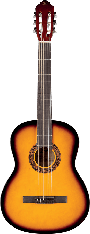 CS-10 4/4 Sunburst + Housse
