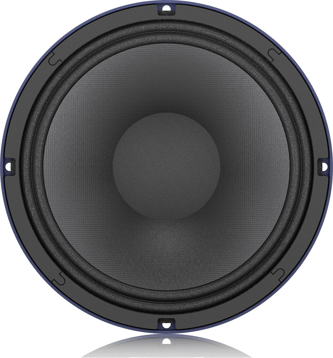 TS-10W300/8A - HAUT-parleur 10 Pouces