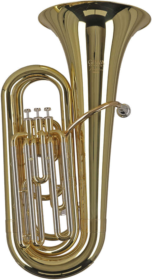 Ambition BB650 Contrabas Bes Gelakt