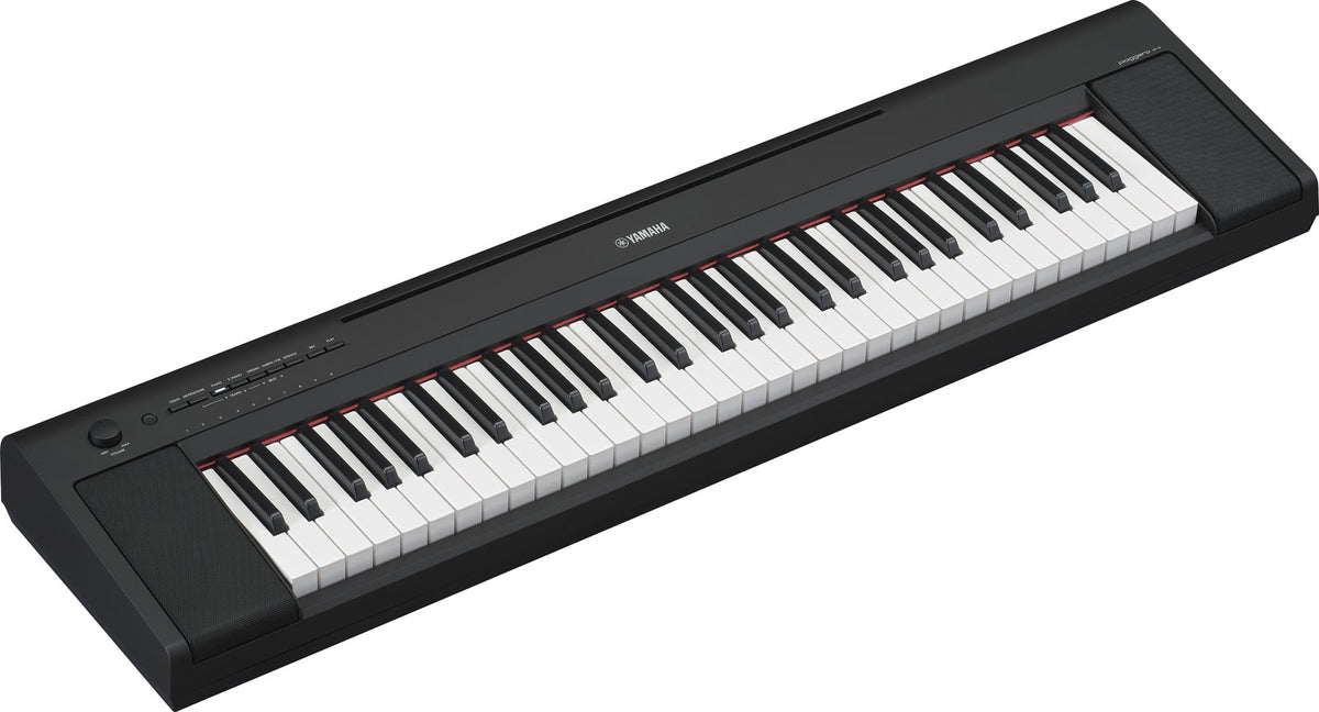 NP-15 Zwart