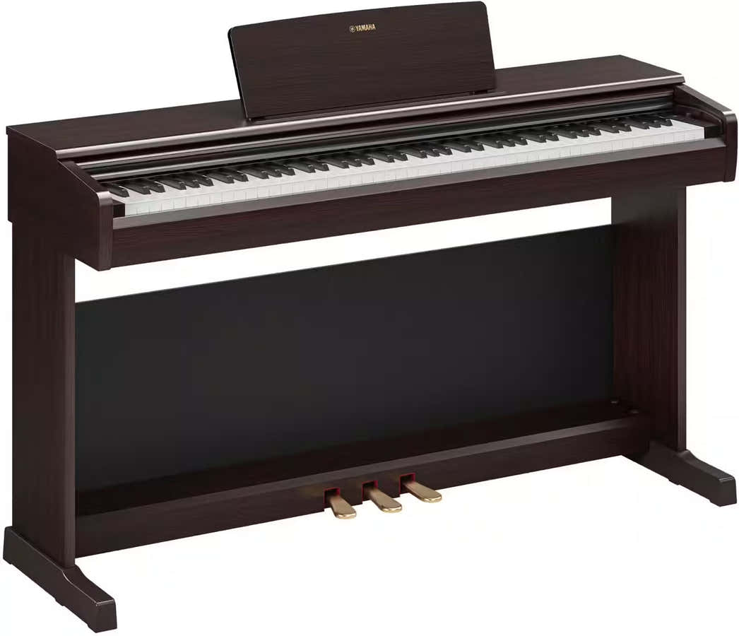 YDP-146 Palissandre