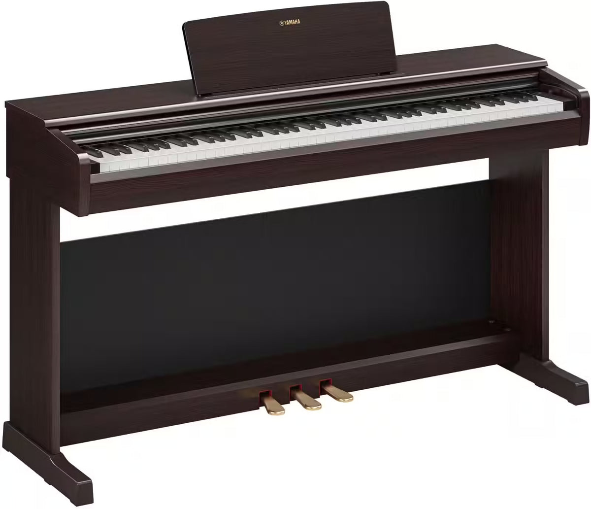 YDP-146 Palissandre