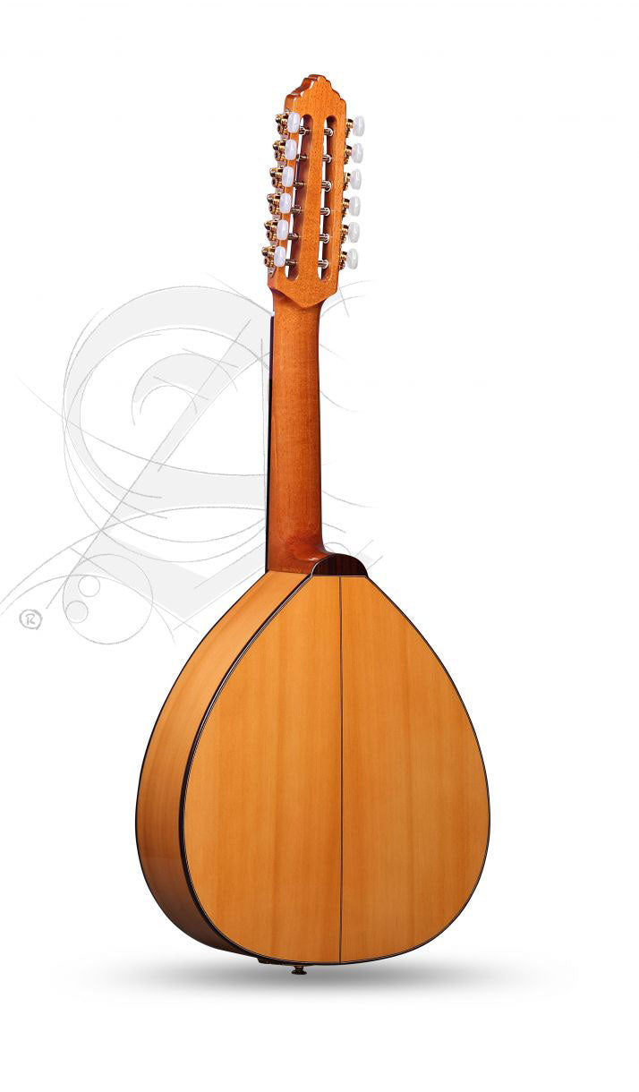 Conservatoire L-6Fc Lutes + 9534 Housse