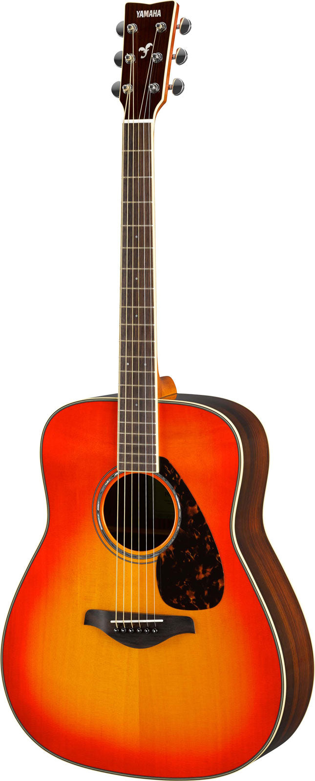 Fg830Ab Autumn Burst