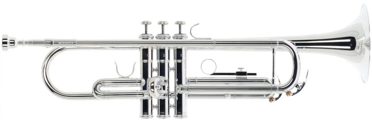 Woodbrass WTP400S - Bes Verzilverde