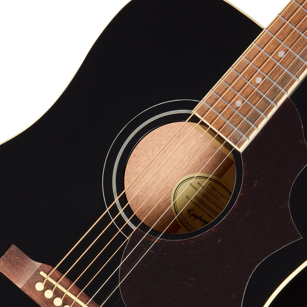 Hummingbird Tribute Ebony IBGM