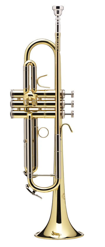 Prodige Sib Vernie (Branche Inversée) - BS210LR-1-0