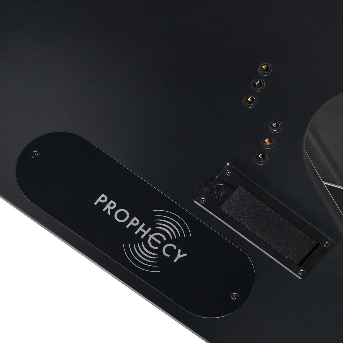 Flying V Prophecy Obsidian Storm Satin