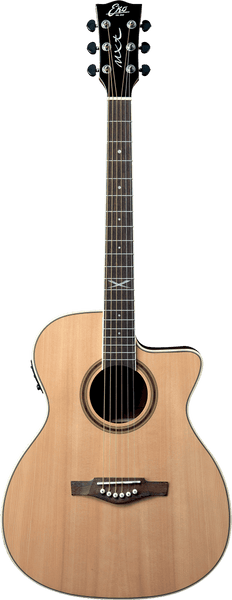 NXT A100ce Auditorium Naturel