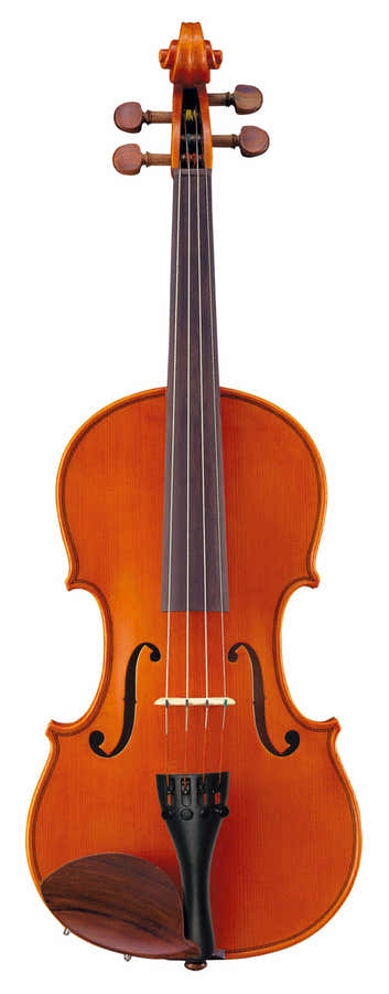 1/2 VIOLIN SET V5SC12