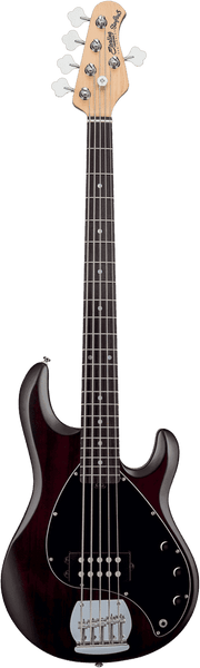 Stingray5 In Walnut Satin 5-String