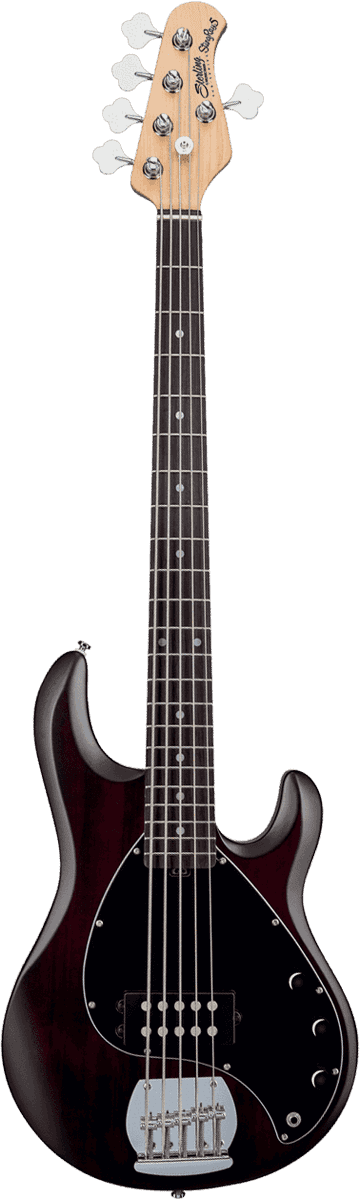 Stingray5 In Walnut Satin 5-String
