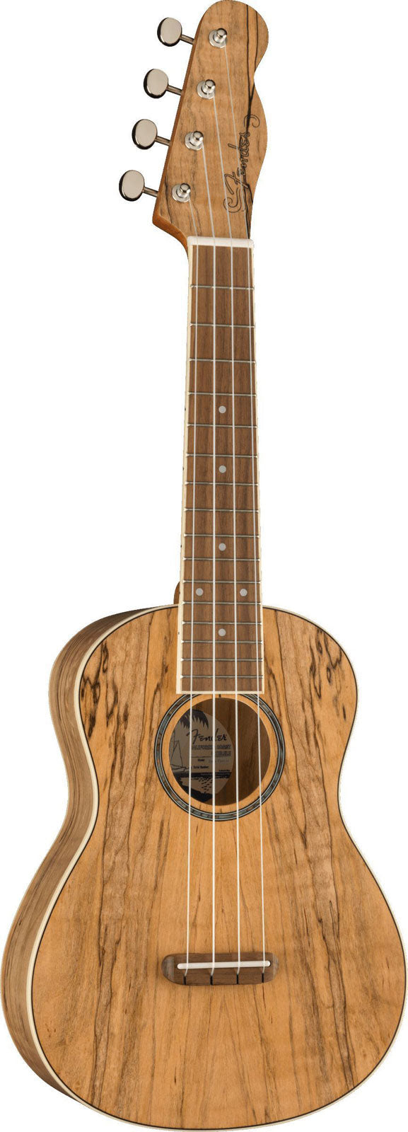 Zuma Uke Exotisch Concert Wn Spalted Maple