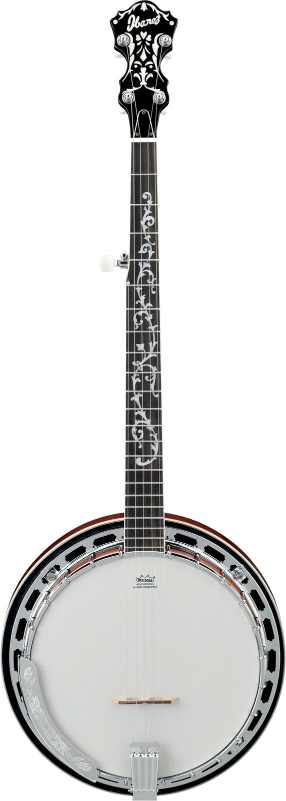 Instruments traditionnels Ibanez