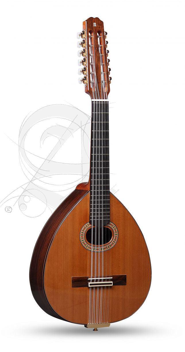 Conservatoire L-4P Lutes + 9534 Housse