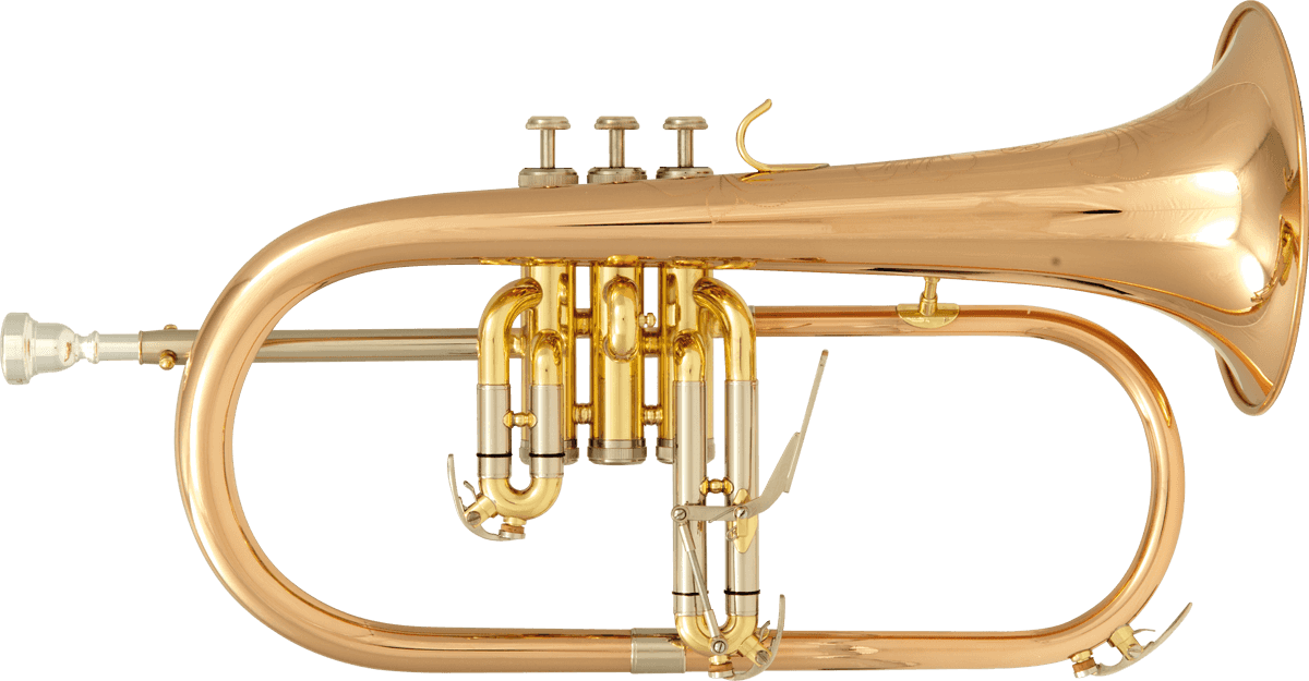 BU600 - Sib Verni