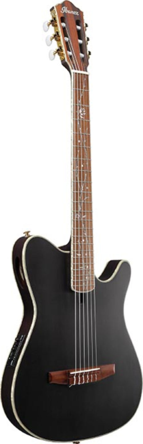 Ibanez Akoestische gitaren