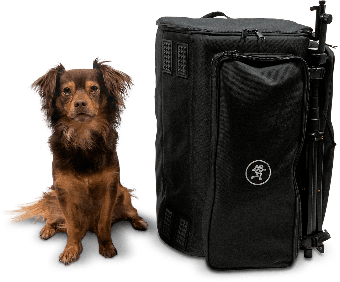 Showbox Backpack