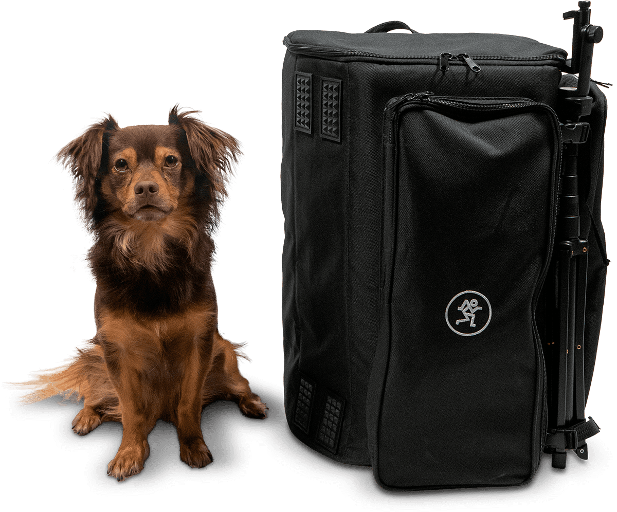 Showbox Backpack