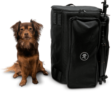 Showbox Backpack
