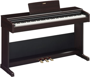 Arius YDP-105 Palissandre