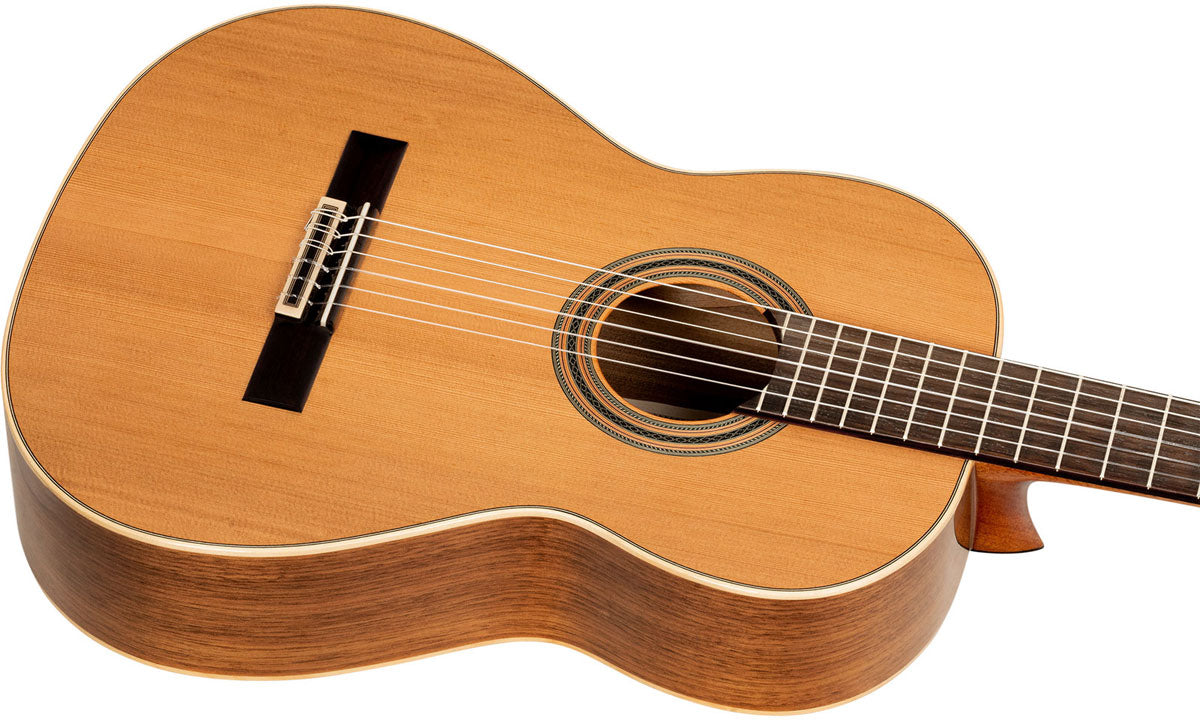 Traditional 4/4 + Pro Gig Bag