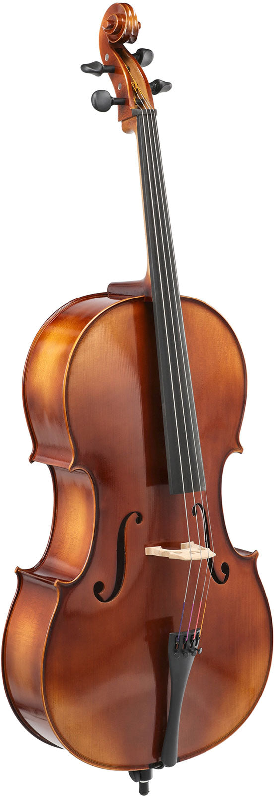 ANNIVERSARY CELLO 1/2 SET UP