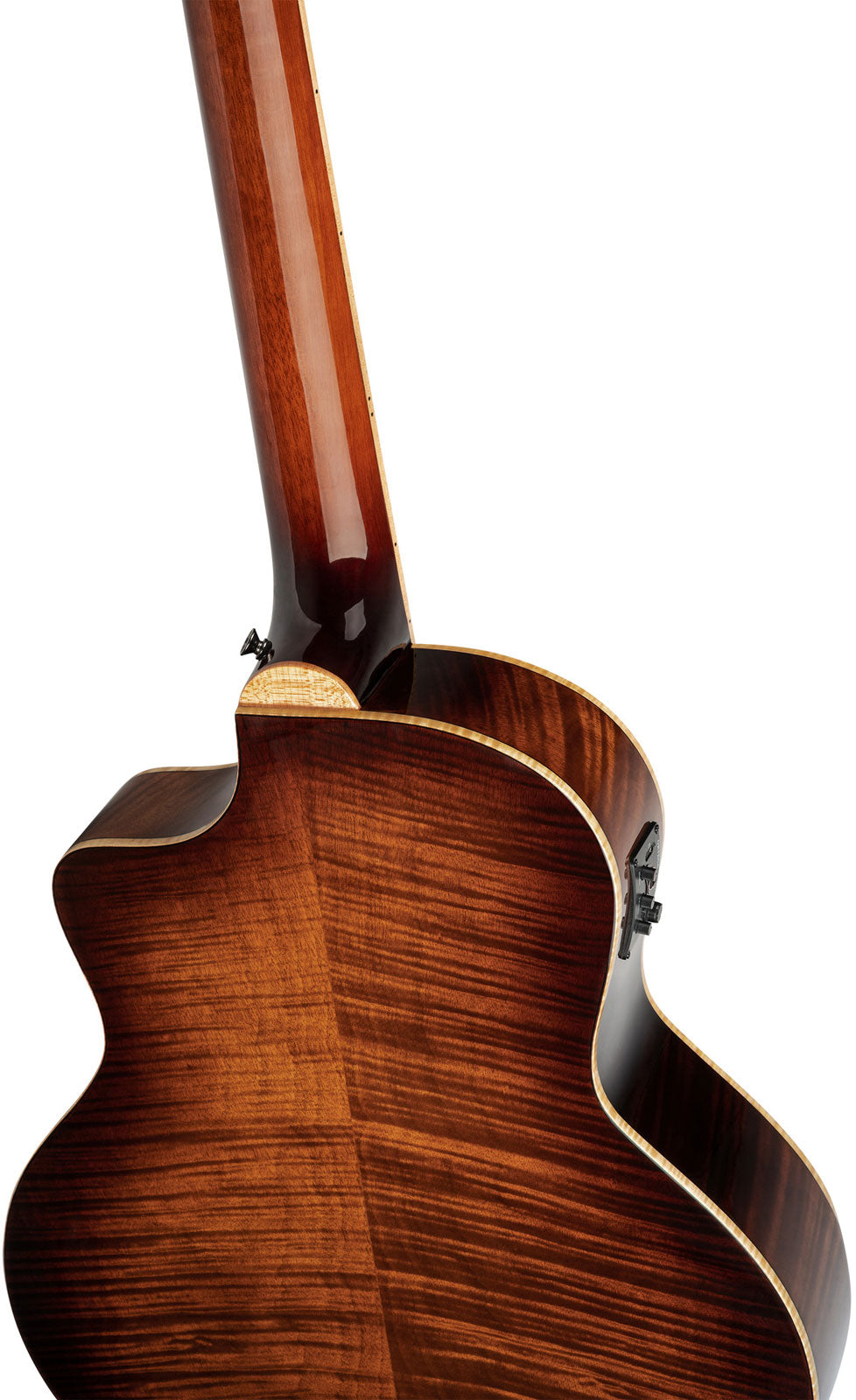 Basse Signature 5 Cordes CW EQ