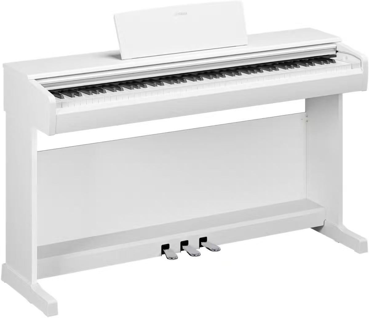 YDP-146 Blanc