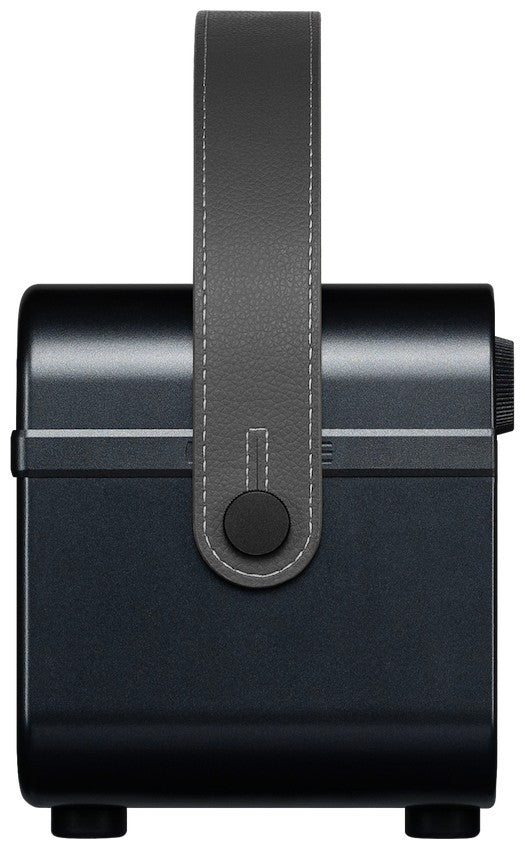 Hotone AP-20BK Pulze Jr. Zwart