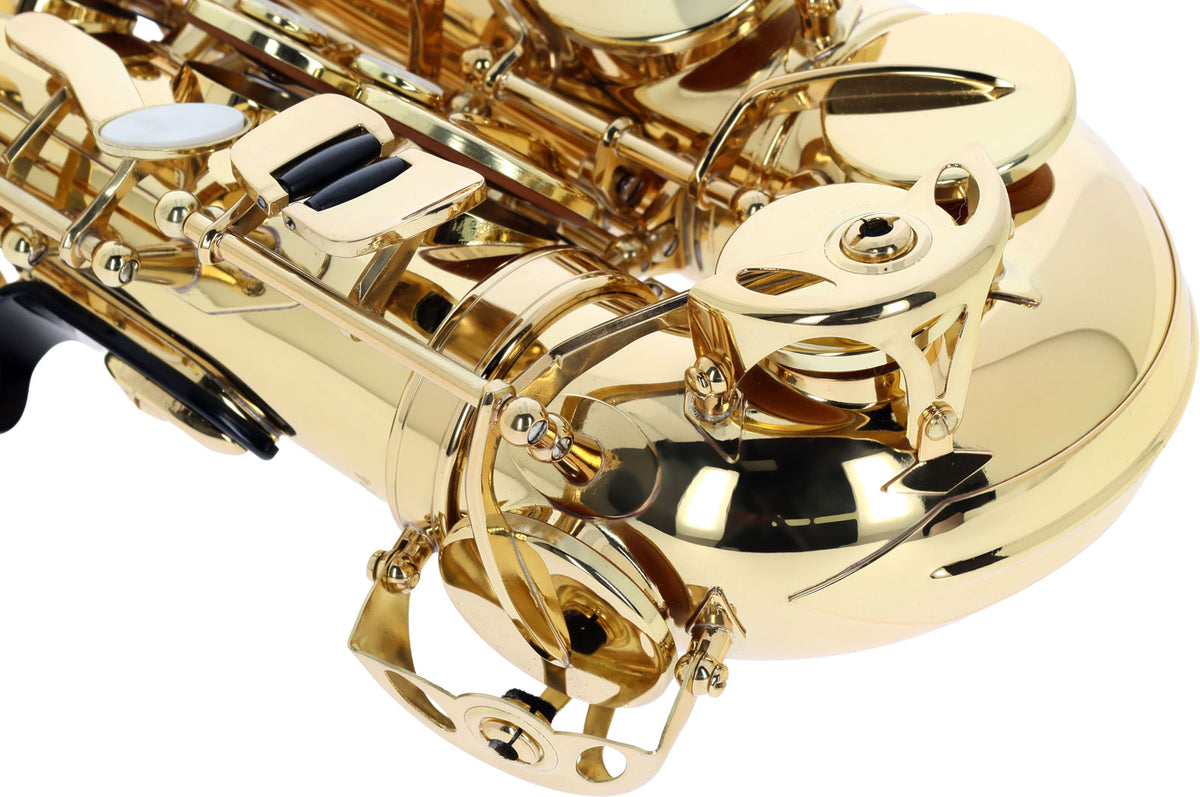 WSA100 - Alto Mib Verni