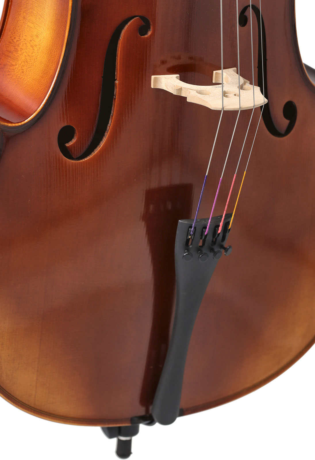ANNIVERSARY CELLO 1/2 SET UP