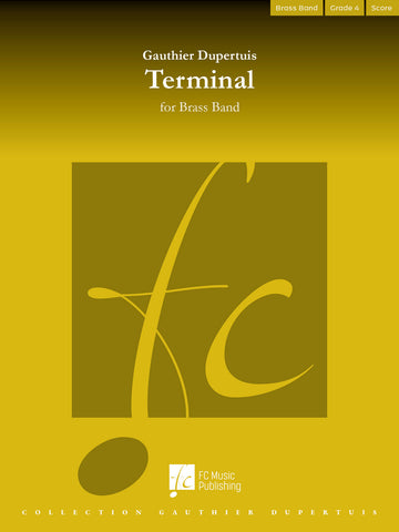 Terminal