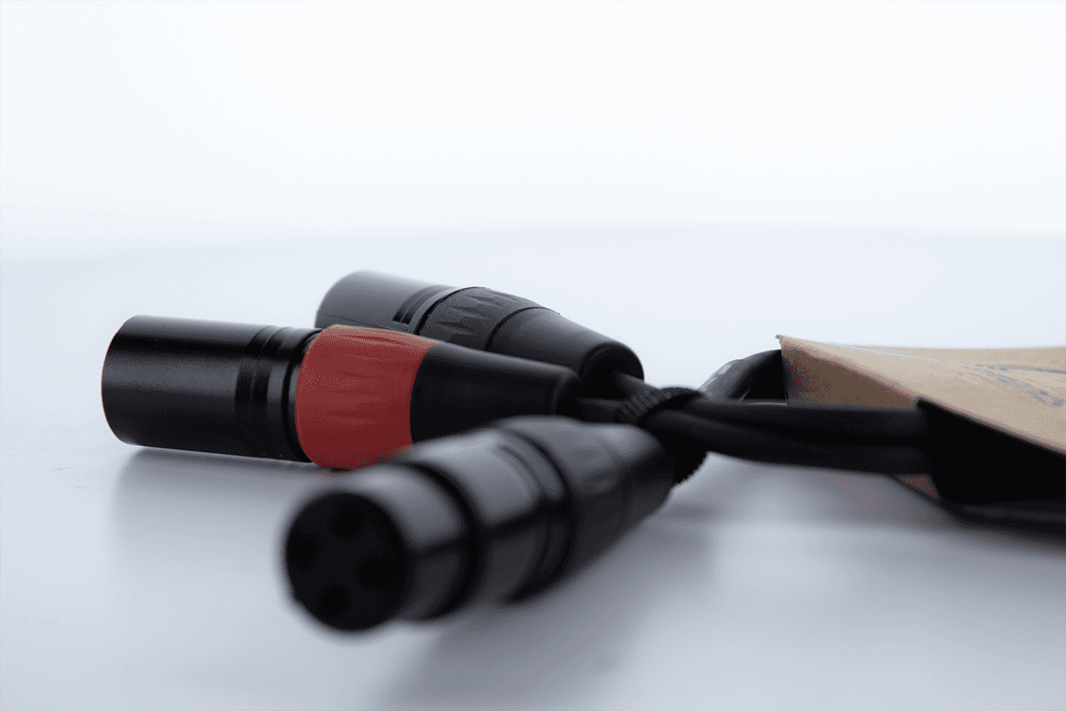 Câble Y Bretelle XLR Femelle / 2 XLR Mâle 30 CM