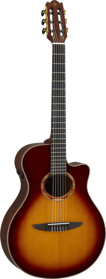 Ntx3 Bruin Sunburst