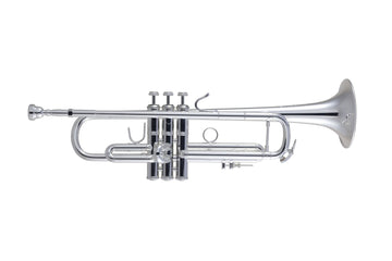 180-43R Stradivarius - Verzilverd Bes