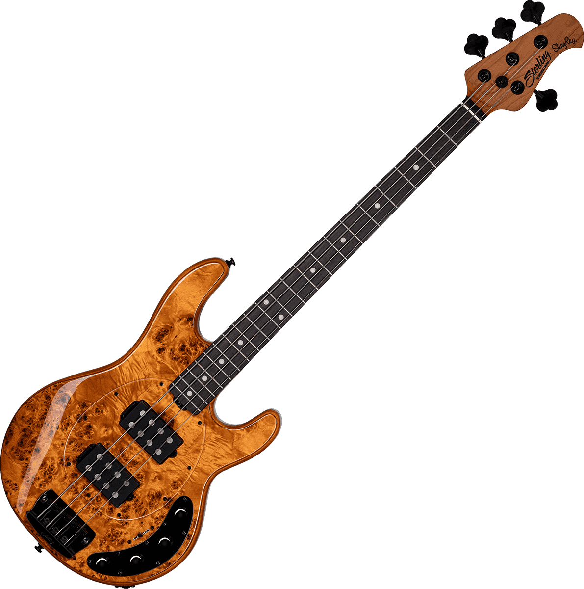 Ray 34 HH Poplar Burl Amber