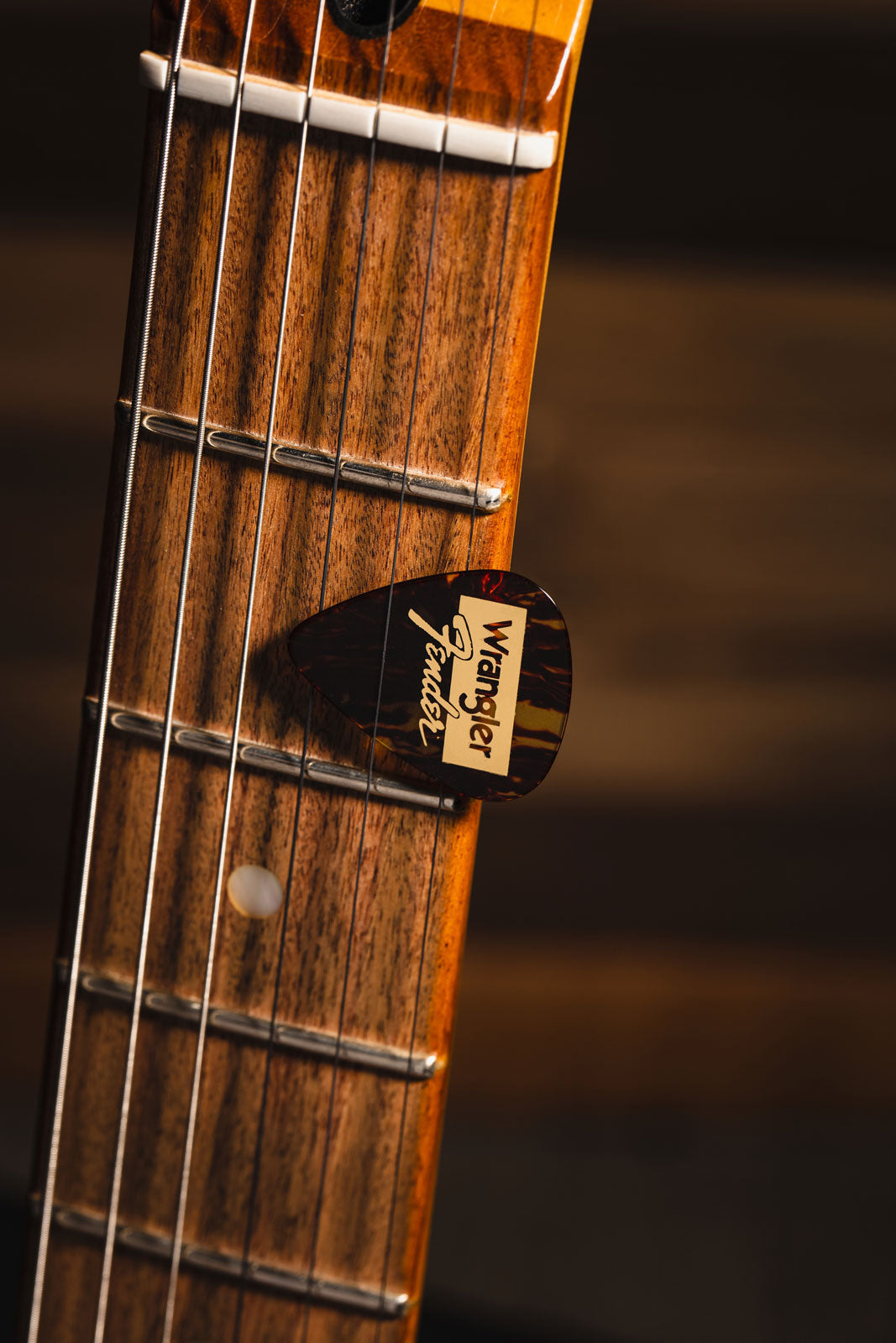 En Wrangler plectrums 351-vorm schildpad (8)