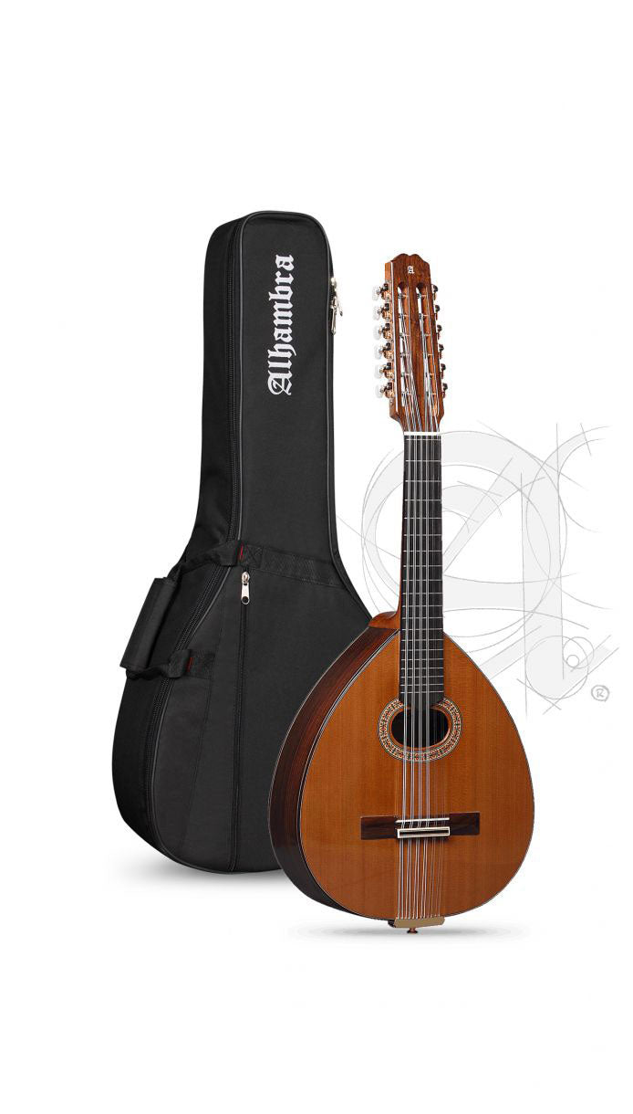 Conservatoire L-4P Lutes + 9534 Housse