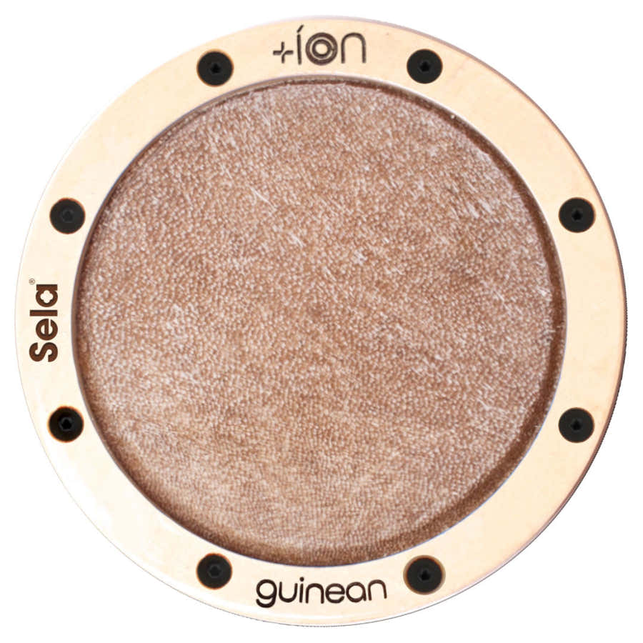 Ion for Iconic Cajon - Guinean