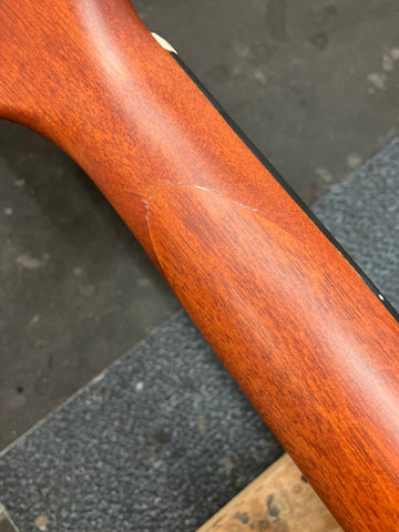 GLD12ENS 12 Dreadnought Epicéa-Acajou - Stock B
