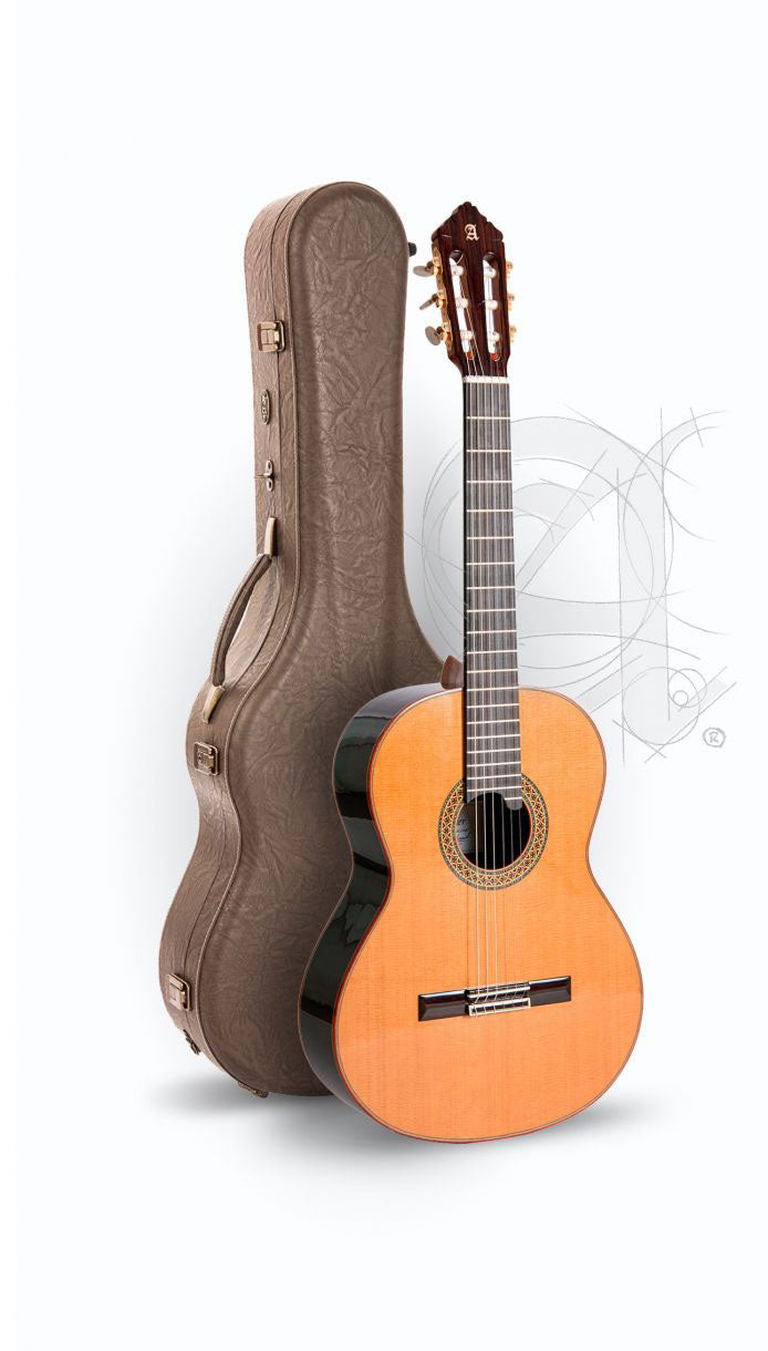 Professional Luthier Premier Pro Madagascar + 9650 Bam Iconic Case