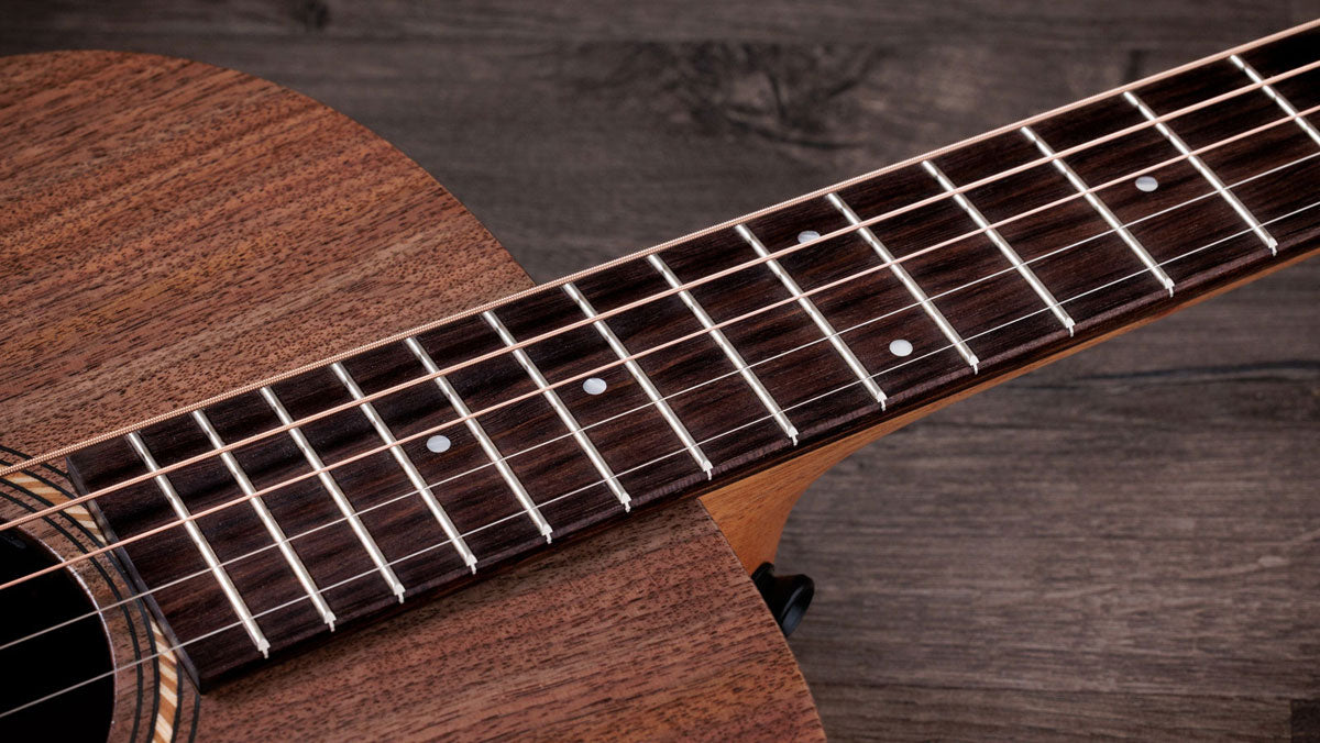 Jacob Collier Signature Model Academy 22e 5-string Natural Grand Concert